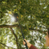 Fiskars 1080692