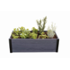 Keter Maple 249296
