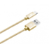 Aligator datový kabel PREMIUM 2A, Micro USB zlatý