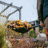 Fiskars 1080681