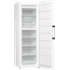 Gorenje FN619EAW6