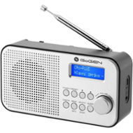 GoGEN DAB 300 N Silver