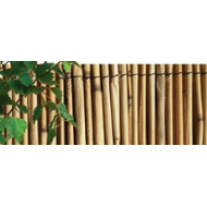 Rohož rákos 1x5m (23350)