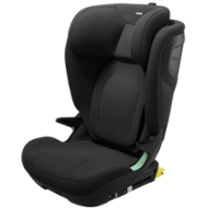 Thule Palm Black