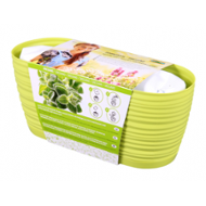 Nohel Garden Zahrádka Sahara Oregáno