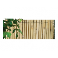 Rohož rákos štípaný 1x5m (23370)