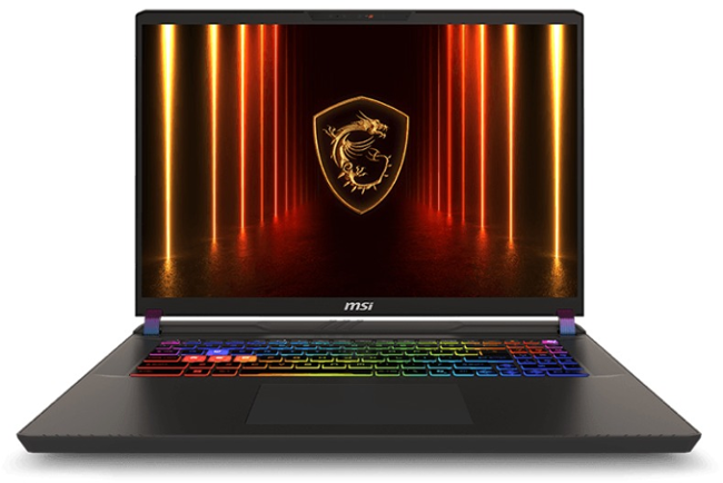 MSI Vector/A16 HX A8WHG-016XCZ/R7-8840HX/16