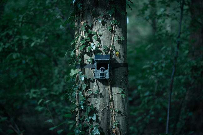 Camouflage EZ-Solar Wifi/Bluetooth