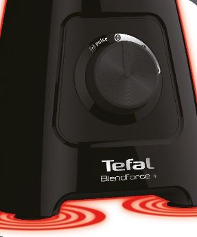 Tefal BL438831 