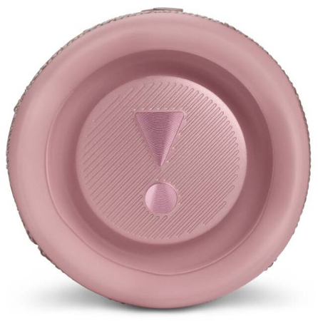 JBL Flip 6 Pink