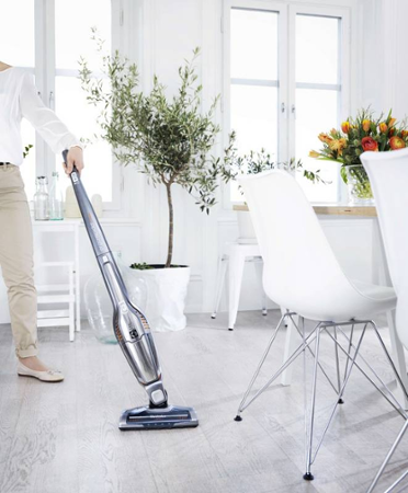 Electrolux ErgoRapido ZB3213