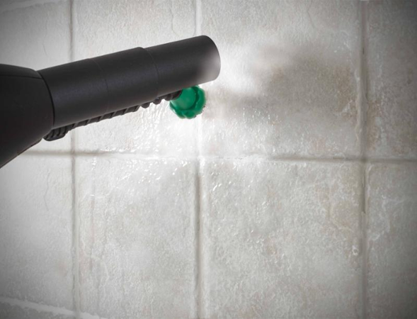 Polti Vaporetto Lecoaspira FAV30