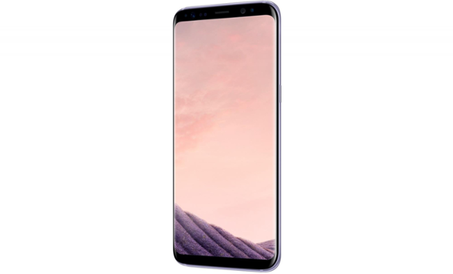 Samsung Galaxy S8 Orchid Gray