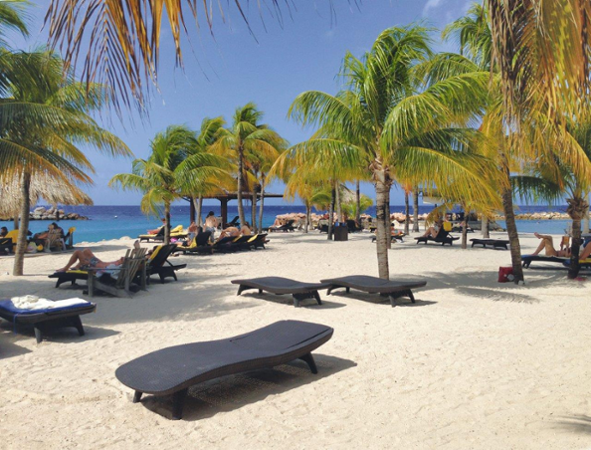 Keter Pacific whiskey hnědá