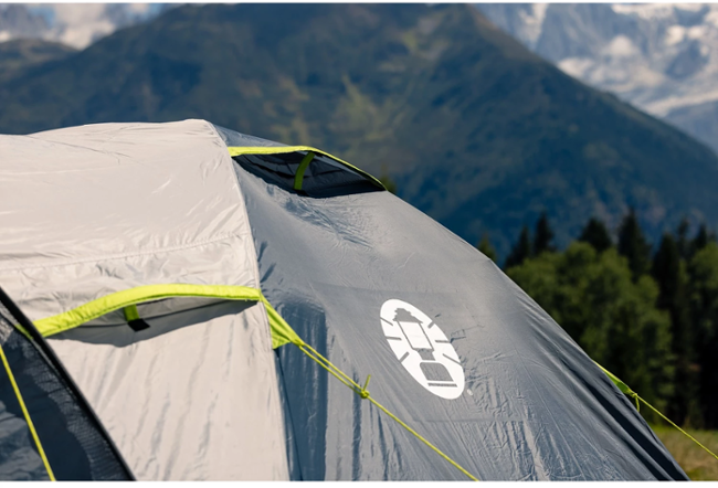 Coleman Darwin 2 Plus 2176902