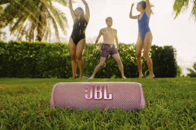 JBL Flip 6 Pink