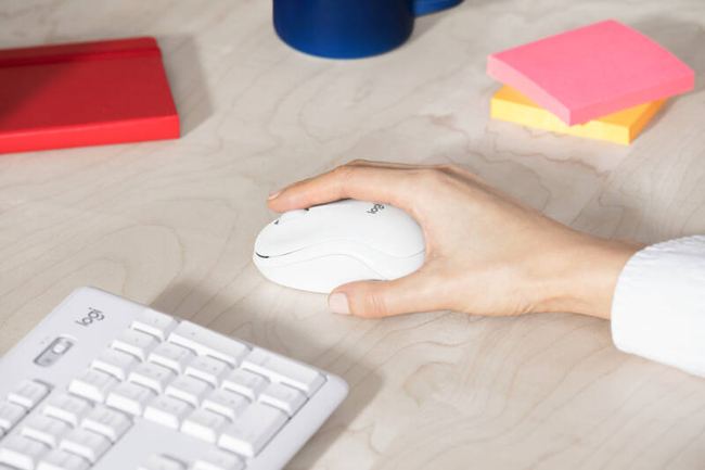 Logitech MK295 Silent Wireless Combo US 920-009824