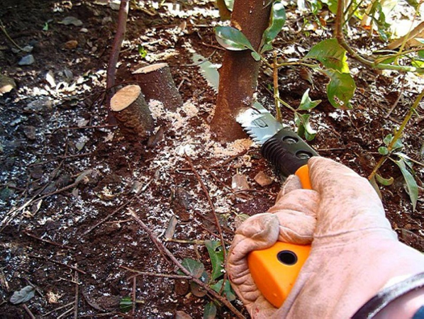 Fiskars Pila zahradní, pevná 123840