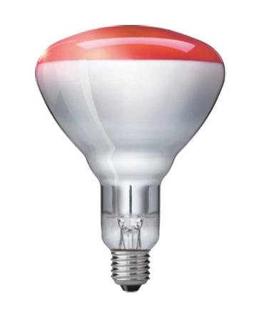 Philips InfraRed Industrial Heat Incandescent 150W