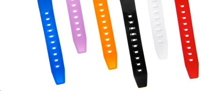 BML bWatch Alpha Silver