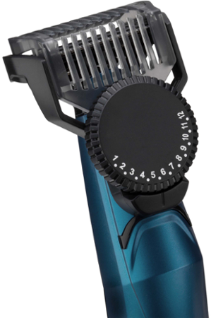 BaByliss T890E