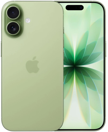 Apple iPhone 17/256GB/Sage