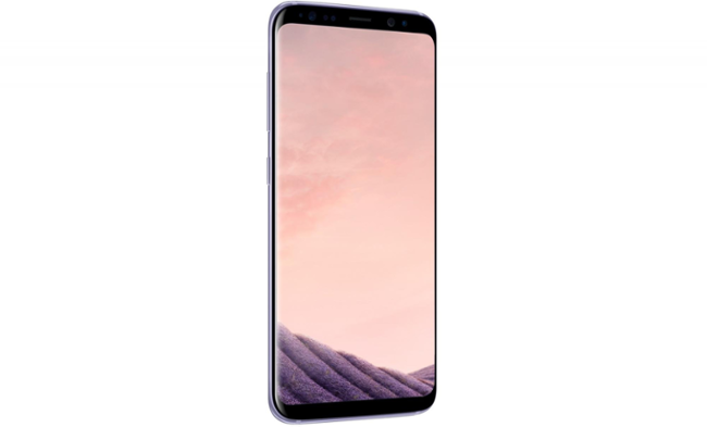 Samsung Galaxy S8 Orchid Gray