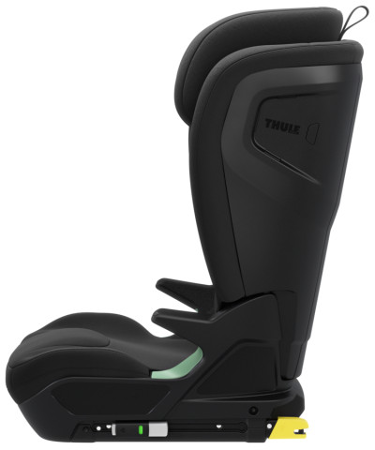 Thule Palm Black