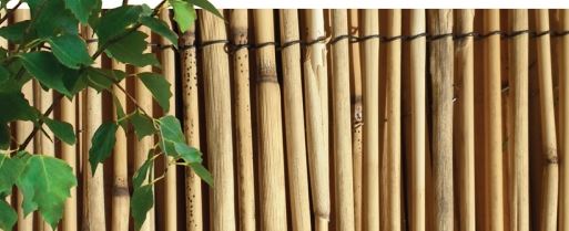 Rohož rákos 1x5m (23350)