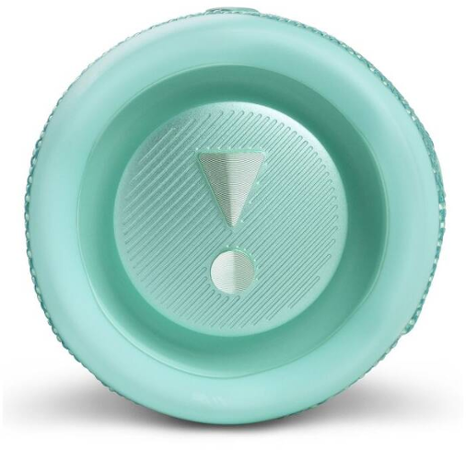 JBL Flip 6 Teal