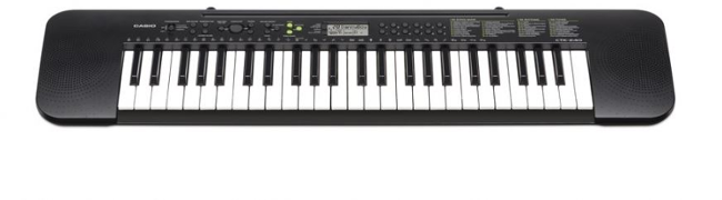 Casio CTK 240 