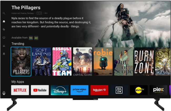 Panasonic TB-55Z60AEG