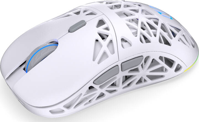 LIV Plus WRL gam mouse onyx whiteENDORFY