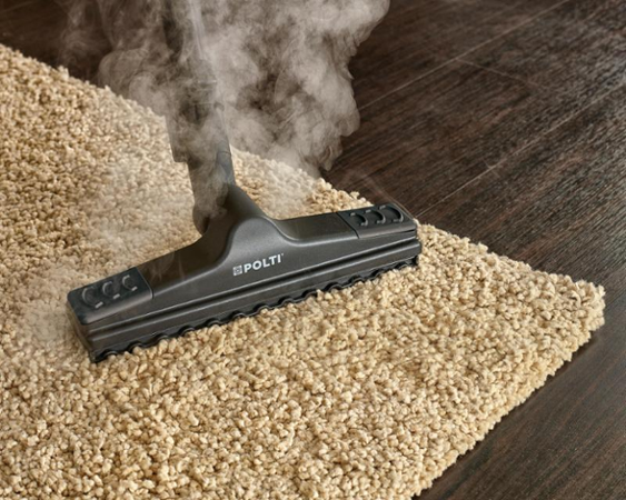 Polti Vaporetto Lecoaspira FAV30