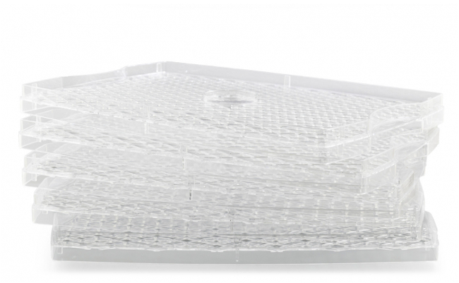 G21 Paradiso Big černá