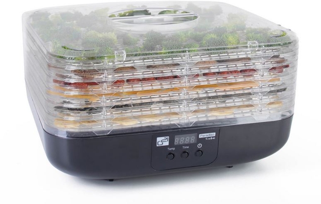 G21 Paradiso Cube black