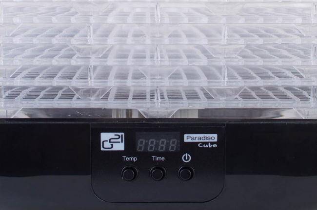 G21 Paradiso Cube black