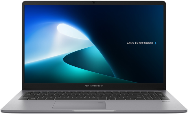 ASUS ExpertBook P1/P1503CVA-S71160X/i3-1315U/15,6