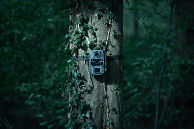 Camouflage EZ2 Ultra