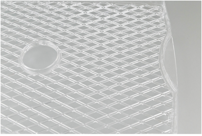 G21 Paradiso Big černá