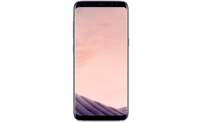 Samsung Galaxy S8 Orchid Gray