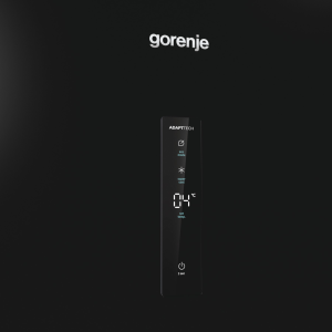 Gorenje R619EABK6