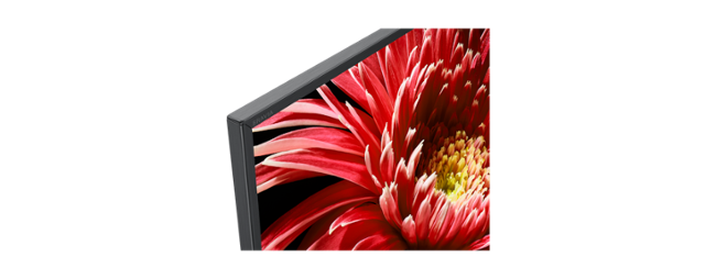 Sony Bravia KD-65XG8596