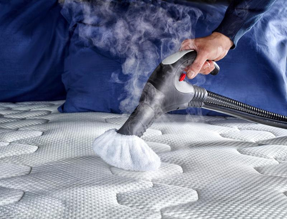 Polti Vaporetto Lecoaspira FAV30