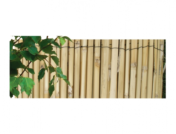 Rohož rákos štípaný 1x5m (23370)