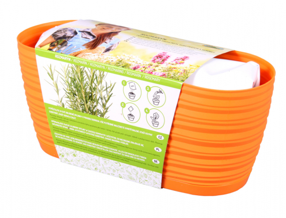 Nohel Garden Zahrádka Sahara Rozmarýn