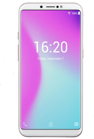 Doogee X80 DualSIM Gold