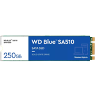 WD Blue SA510/250GB/SSD/M.2 SATA/5R