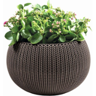 Keter COZY M Harvest Brown