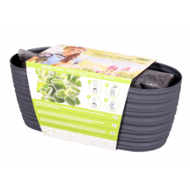 Truhlík ZAHRÁDKA SAHARA-OREGÁNO 8810an